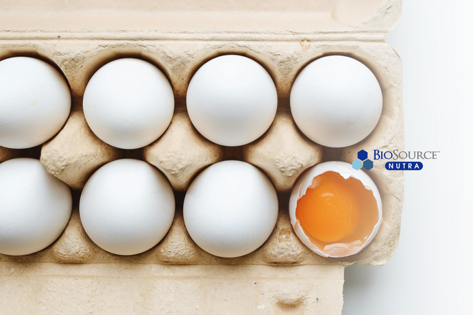 Sustainable Eggs: A Nutrient-Rich Choice for Health and the Environment