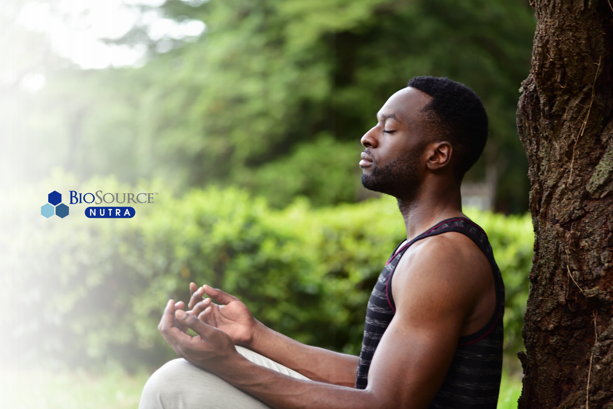 Mindful Moments: Building Daily Habits for Lifelong Wellness ...