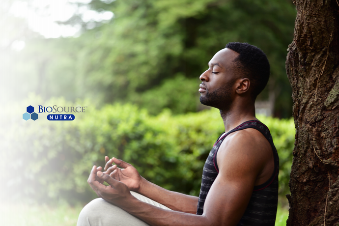 Mindful Moments: Building Daily Habits for Lifelong Wellness