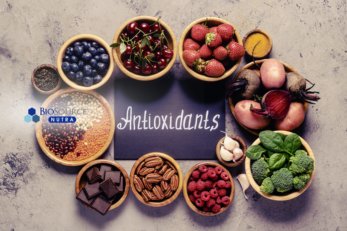 Nourish from Within: How Antioxidants and Digestive Health Go Hand-in-Hand