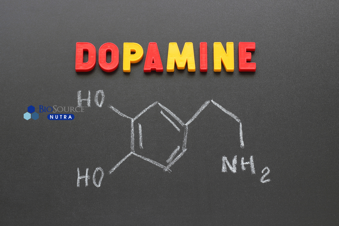 The Dopamine Menu: How to Create Your Personalized Wellness Plan