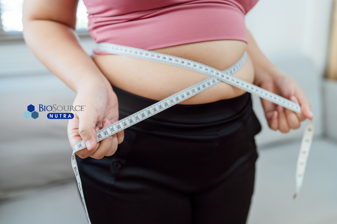 Gut Health and Weight Loss: The Surprising Connection Your Diet Is Missing