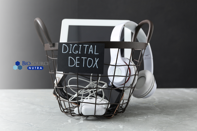 Refresh Your Mind: The Power of a Digital Detox