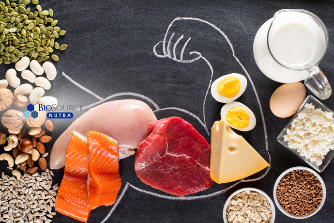 Protein Power: Nutrition-Packed Meals for Weight Loss Success